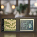 Perilous Prophecies Aloe Vera Bar Soap - Blue Spruce-3