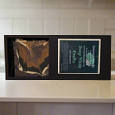 Seriously Spooky Aloe Vera Bar Soap - Jasmine Jungle-3