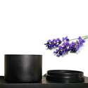Whimsy Spellfire Sleek Soy Tin Candle - Lavender