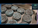 Monstrous Mayhem Beer Soap - Vanilla Grove