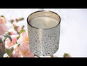 Ultimate Opulence Luxury Soy Candle - Blue Spruce